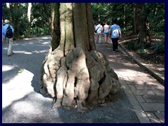 Meji Shrine Garden